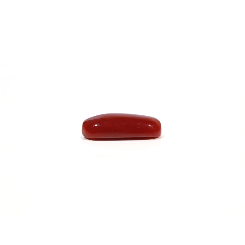 Red Coral - 6.04 Carat