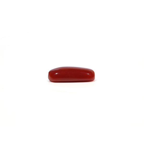 Red Coral - 6.04 Carat