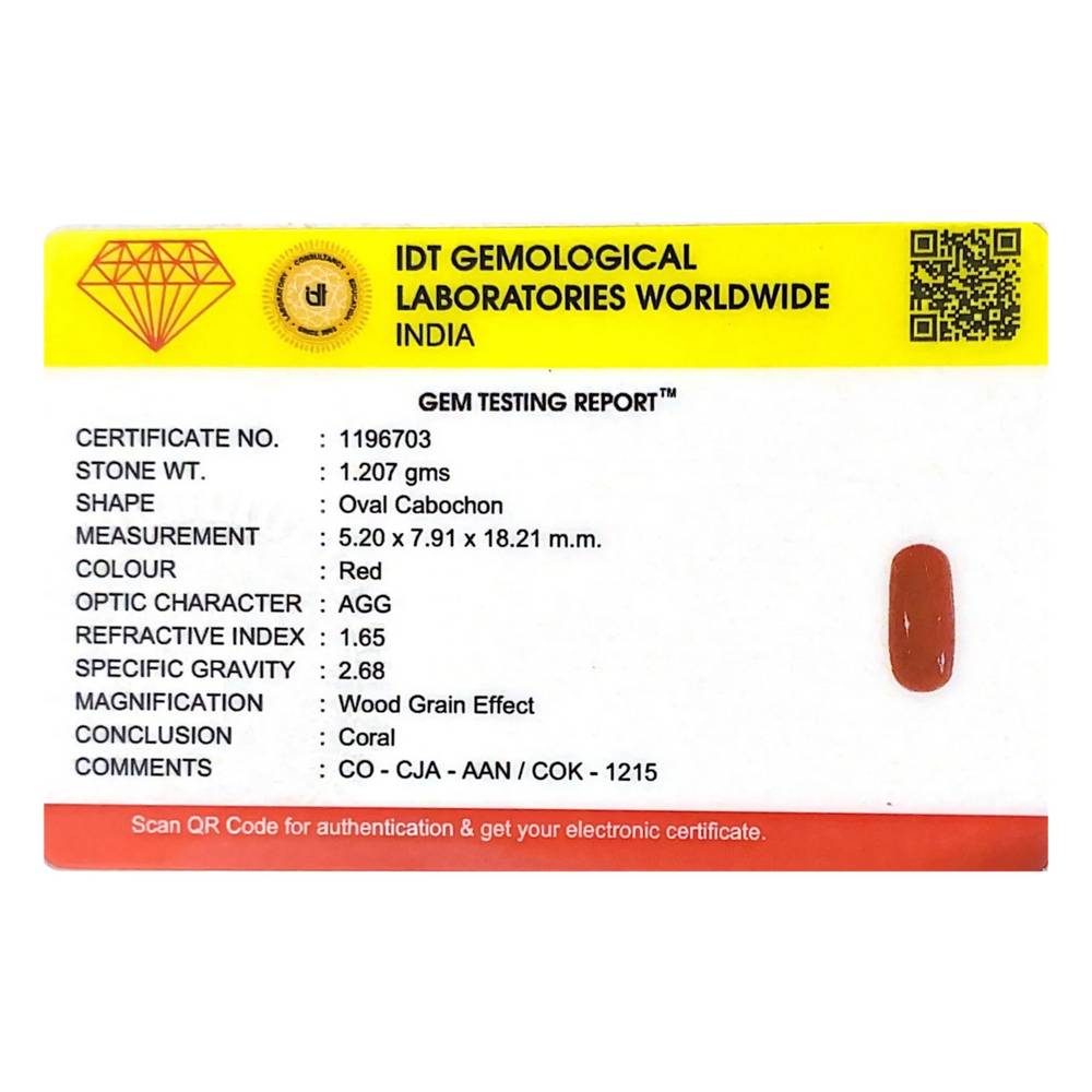 Red Coral - 6.04 Carat