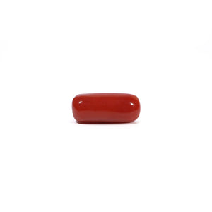 Red Coral - 6.63 Carat - Pramogh