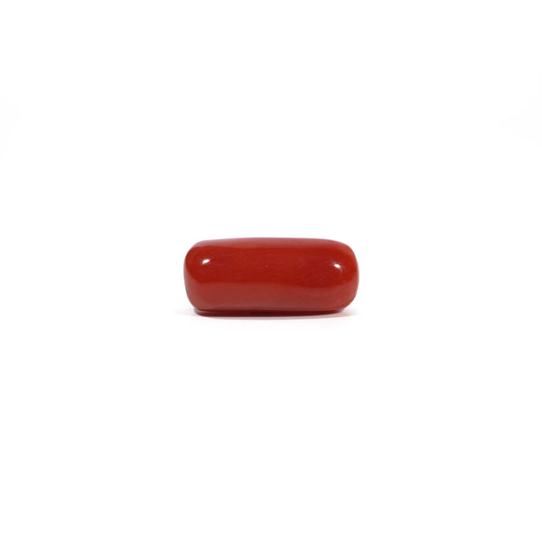 Red Coral - 6.63 Carat - Pramogh
