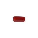 Red Coral - 6.04 Carat - Pramogh