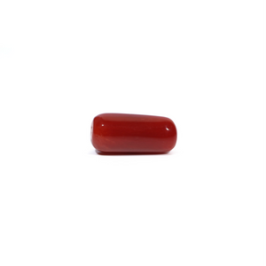 Red Coral - 6.04 Carat - Pramogh