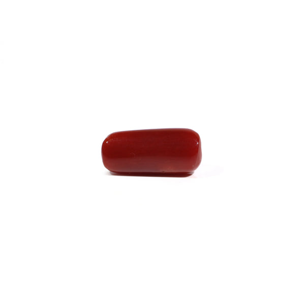 Red Coral - 6.04 Carat