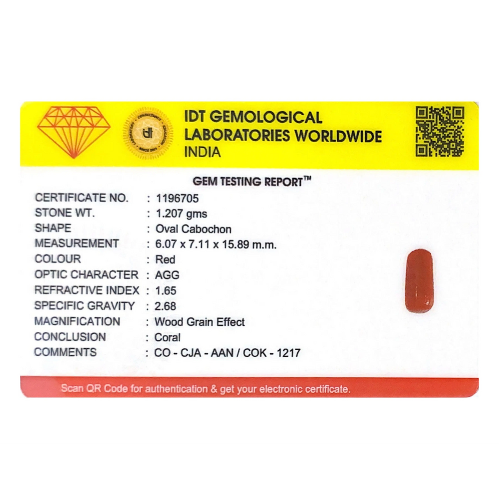 Red Coral - 6.04 Carat