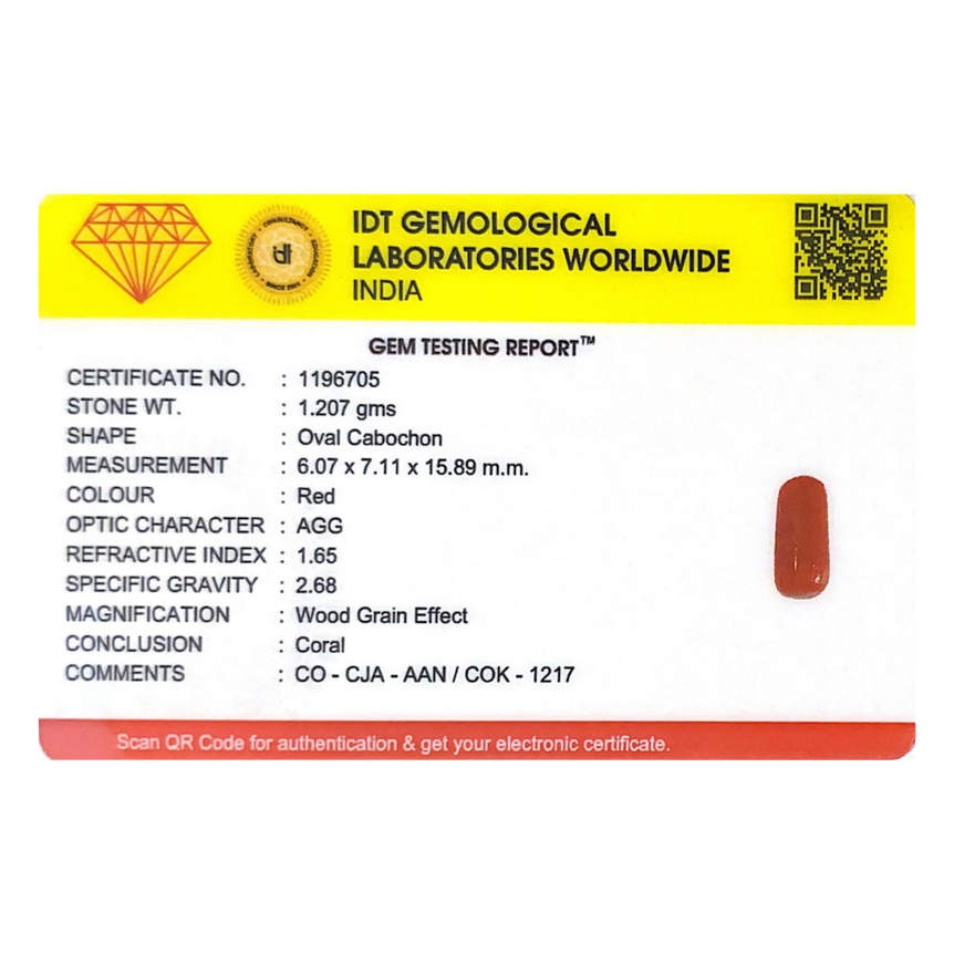 Red Coral - 6.04 Carat
