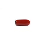 Red Coral - 7.9 Carat - Pramogh