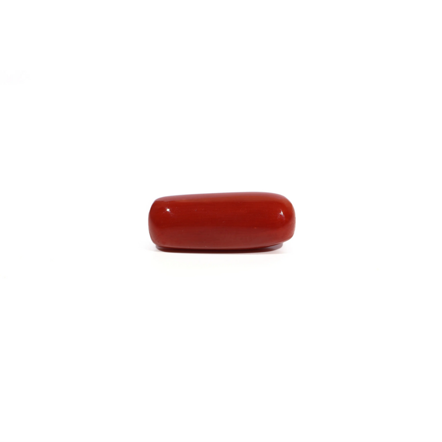 Red Coral - 7.9 Carat