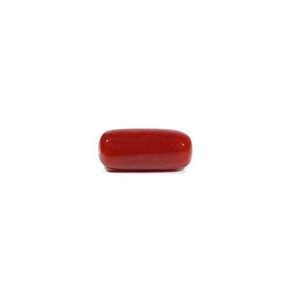 Red Coral - 7.58 Carat - Pramogh