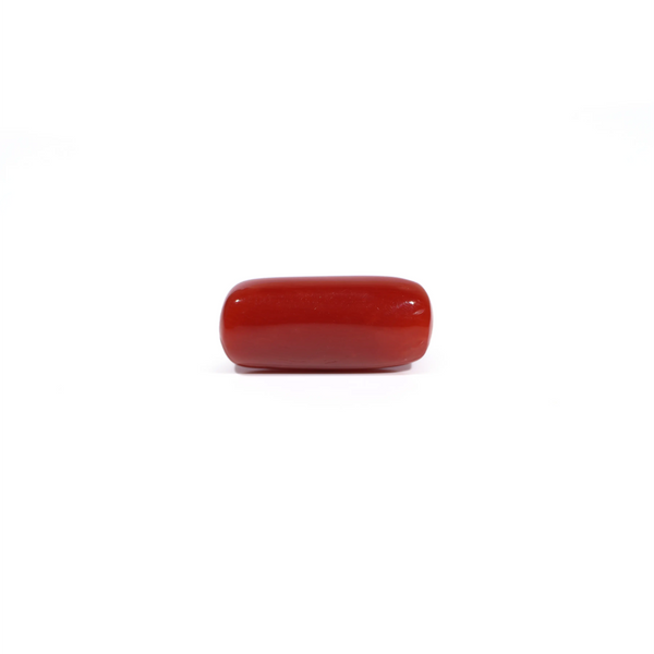 Red Coral - 7.58 Carat