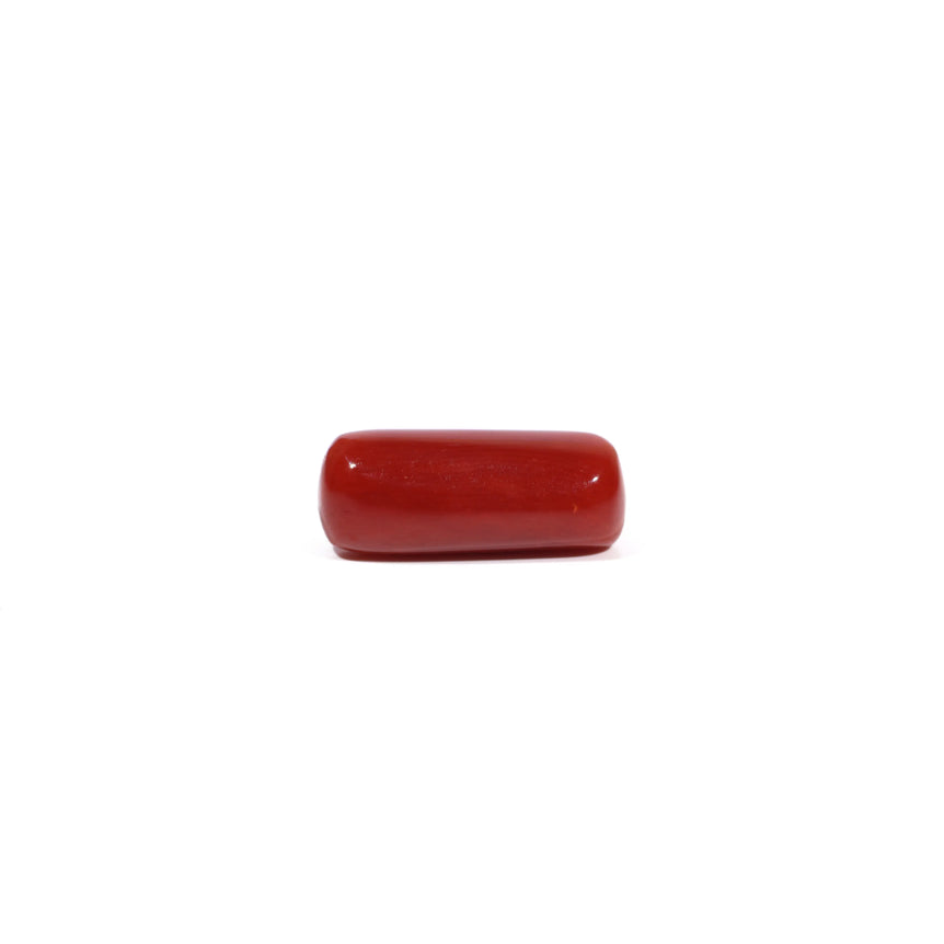 Red Coral - 7.58 Carat