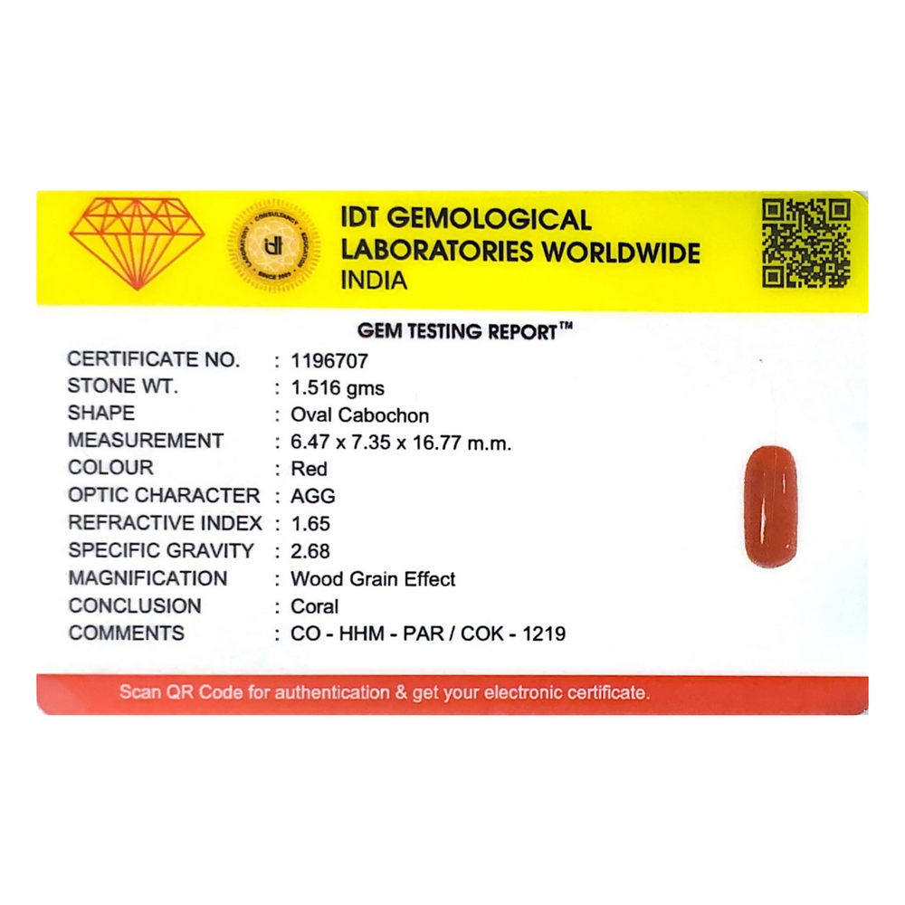 Red Coral - 7.58 Carat