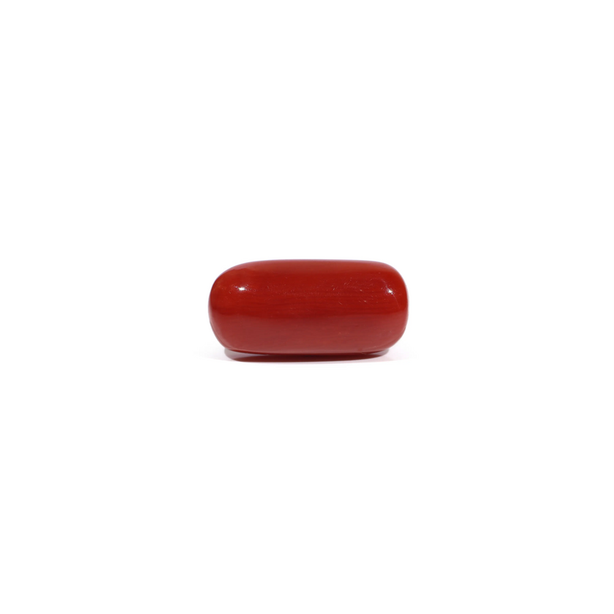 Red Coral - 7.63 Carat - Pramogh