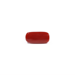 Red Coral - 7.63 Carat