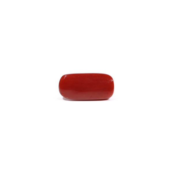 Red Coral - 7.63 Carat