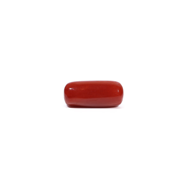 Red Coral - 7.77 Carat - Pramogh