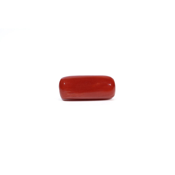 Red Coral - 7.77 Carat
