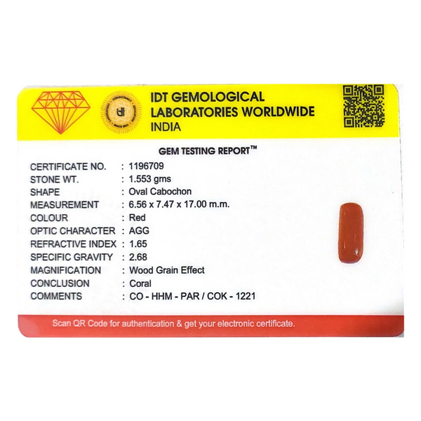 Red Coral - 7.77 Carat