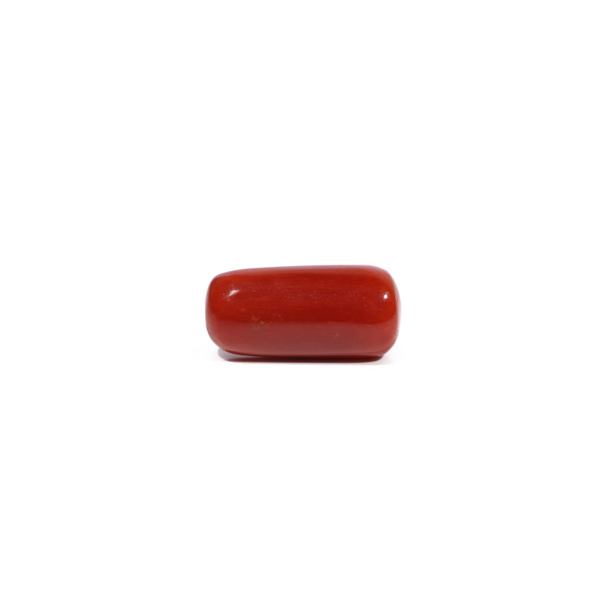Red Coral - 7.63 Carat - Pramogh