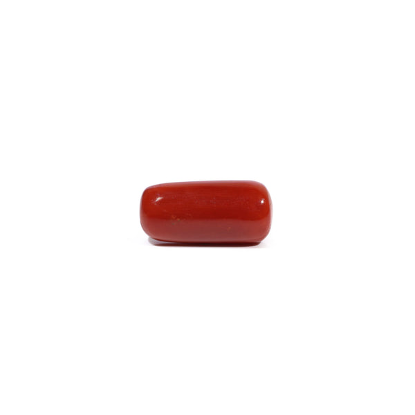 Red Coral - 7.63 Carat - Pramogh