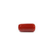 Red Coral - 7.63 Carat - Pramogh