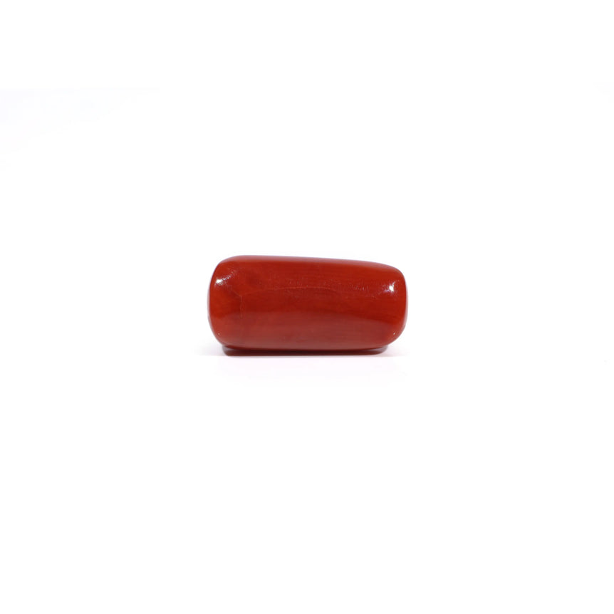 Red Coral - 7.63 Carat