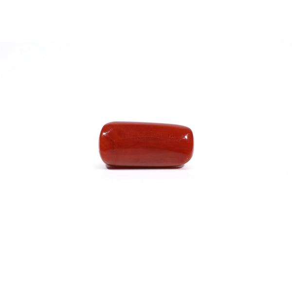 Red Coral - 7.63 Carat