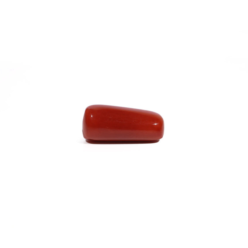 Red Coral - 7.63 Carat