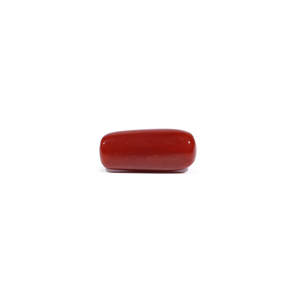 Red Coral - 7.4 Carat