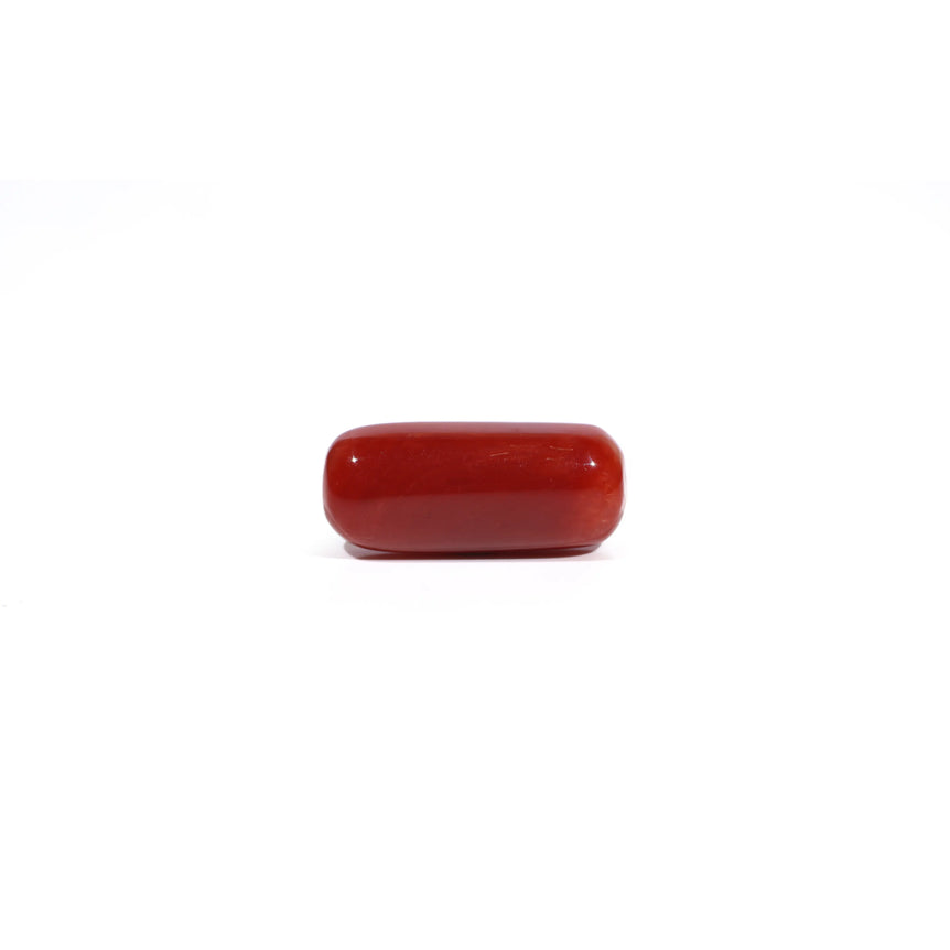 Red Coral - 7.7 Carat - Pramogh