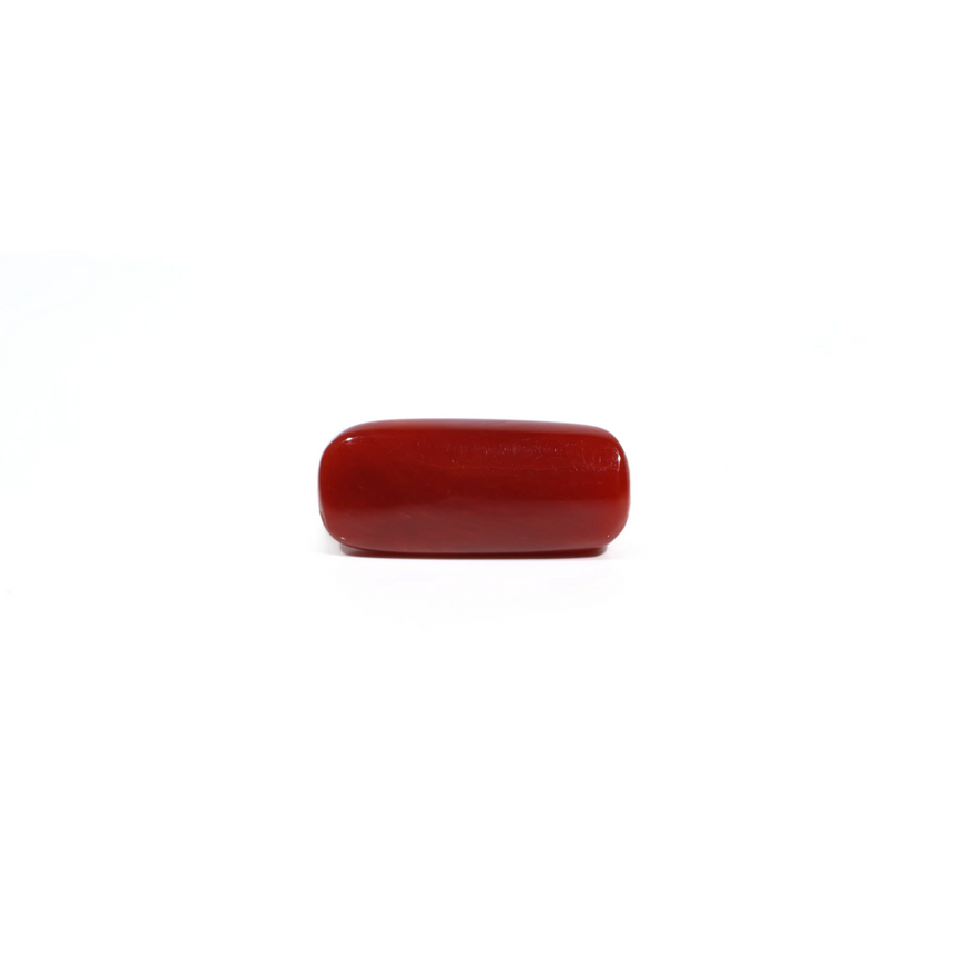 Red Coral - 7.7 Carat