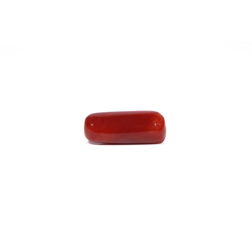 Red Coral - 7.7 Carat
