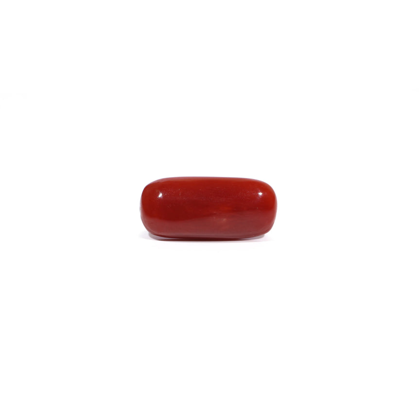 Red Coral - 7.55 Carat - Pramogh