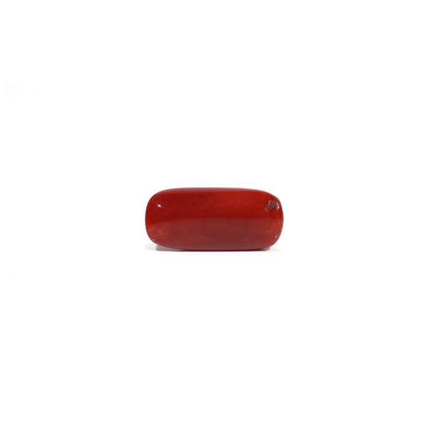 Red Coral - 7.55 Carat