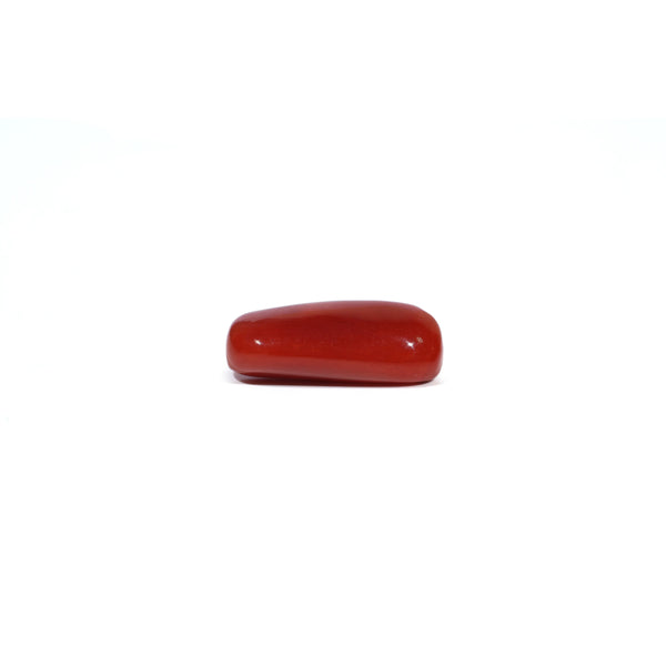Red Coral - 7.55 Carat