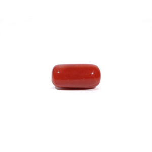 Red Coral - 7.85 Carat - Pramogh