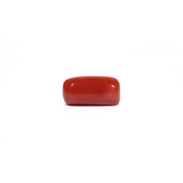 Red Coral - 7.85 Carat