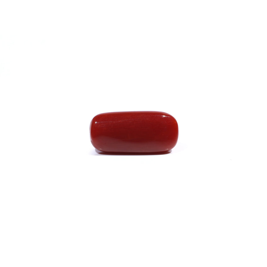 Red Coral - 7.91 Carat