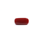 Red Coral - 7.91 Carat