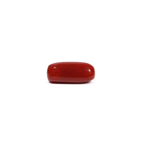 Red Coral - 7.91 Carat
