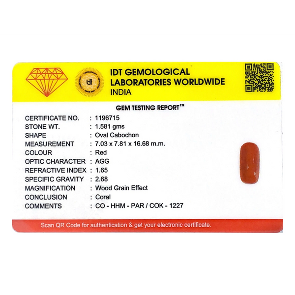 Red Coral - 7.91 Carat