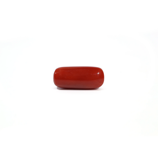Red Coral - 7.2 Carat