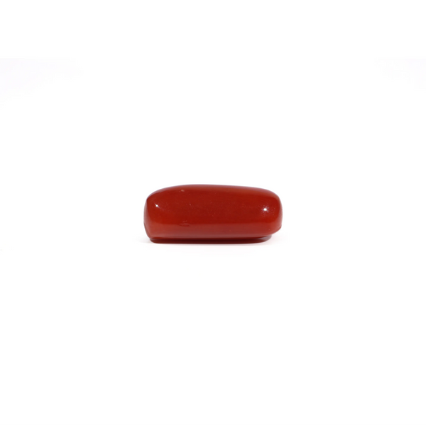 Red Coral - 7.2 Carat