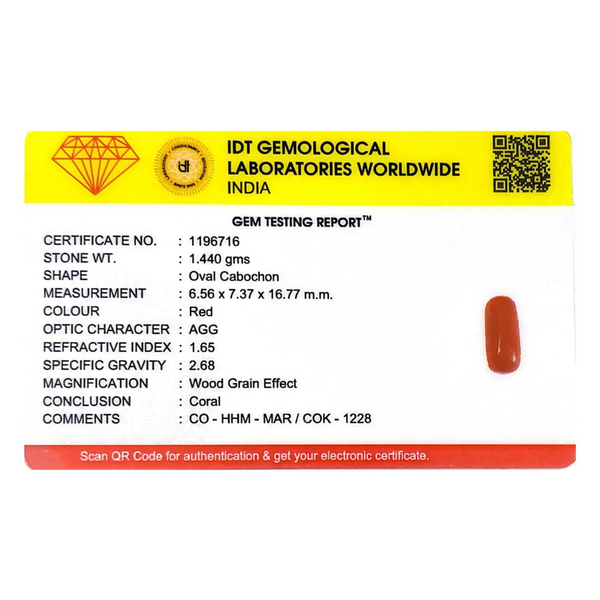 Red Coral - 7.2 Carat