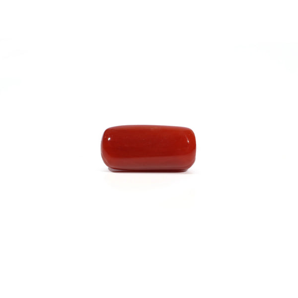 Red Coral - 7.04 Carat - Pramogh