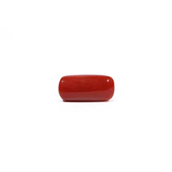 Red Coral - 7.04 Carat