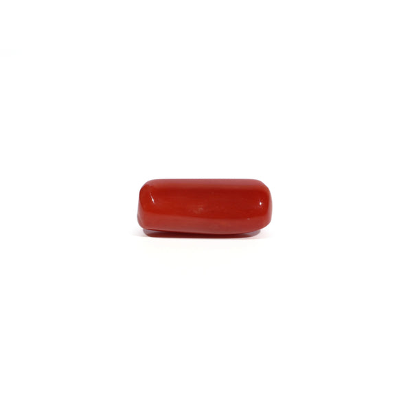 Red Coral - 7.04 Carat