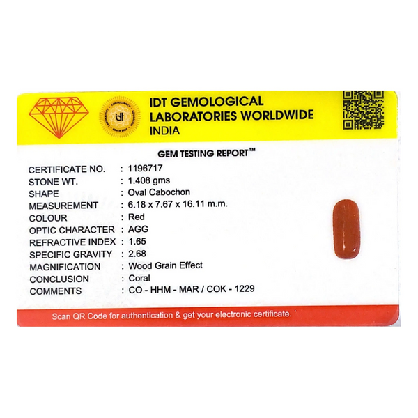 Red Coral - 7.04 Carat