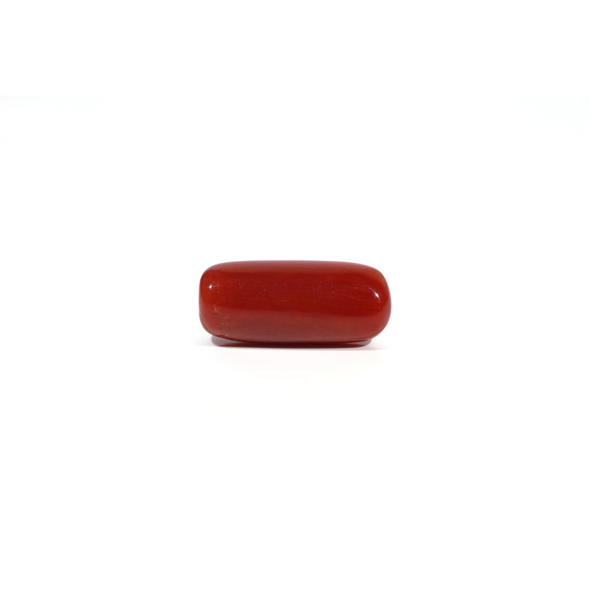 Red Coral - 7.1 Carat - Pramogh
