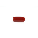 Red Coral - 7.1 Carat - Pramogh
